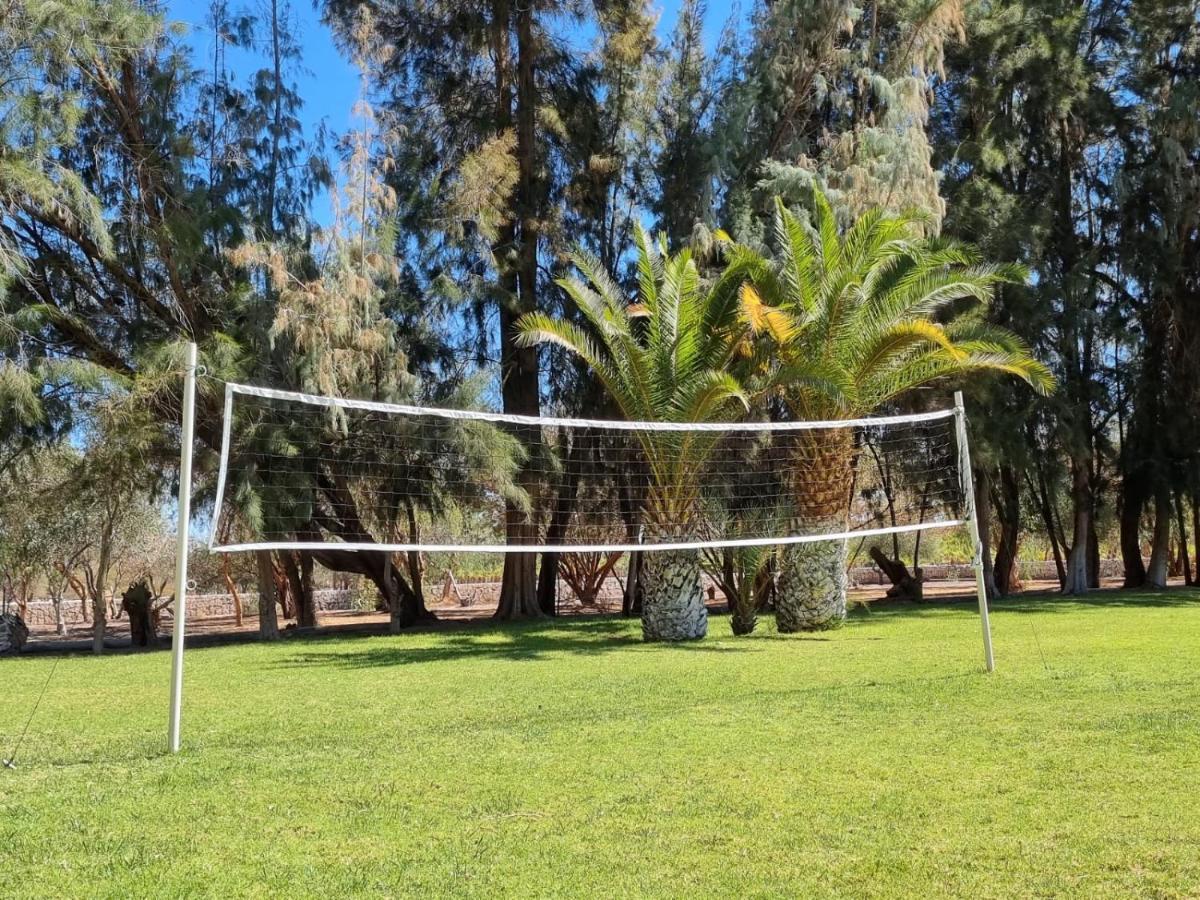 Cabanas La Huayca - Caja Los Andes Pica Kültér fotó